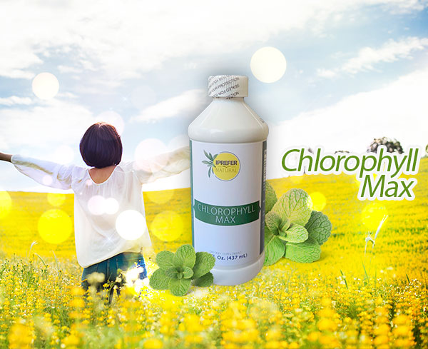 Chlorophyll Max-post